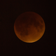Illustration for article titled Here Are the Best Images of Last Nights Supermoon Eclipse